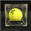 Image 4 : 2007 US OPEN MATCH-USED TENNIS BALLS