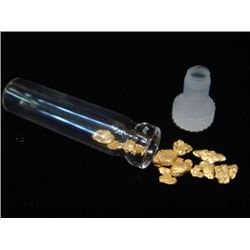 REAL GOLD NUGGETS - Approx. 1 gram in vial