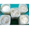 Image 1 : (100) Silver Eagles in Mint Tubes