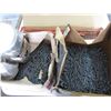 Image 2 : 2 Boxes of Nails & Box of Floor Screws
