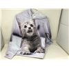 Image 1 : Kitten Graphic Hoodie (Size 150)