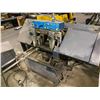 Image 2 : 12'' x 13'' Automatic Horizontal Bandsaw