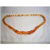 Image 1 : Pressed Amber Necklace #1280023