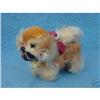 Image 1 : c.1950? Steiff Pekinese Peky Dog w/ label & #1313952
