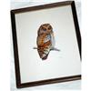 Image 1 : Water color of Owl by Ann Ramhorst 1976 #1313987