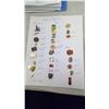 Image 1 : Lapel pins collectibles provinces and misc..