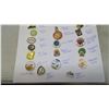 Image 3 : Lapel pins, some first nations & some related to Canadian geographic areas