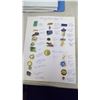 Image 1 : lapel pins - Government agencies, crowns, organizations & misc.
