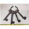 Image 2 : Set of cast iron keys on ring