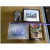 Image 4 : 4 Framed Pictures