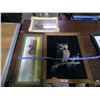 Image 5 : 3 Framed Pictures