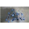 Image 1 : Lot of Collectible Spoons