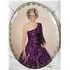 Image 8 : Lot 5 Collectible Plates -- Princess Diana