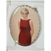 Image 5 : Lot 4 Collectible Plates -- Princess Diana