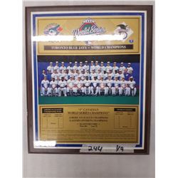 Blue Jays 92 World Series Wall Hanging