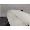 Image 11 : 6'4" D. O'Brien Surfboard