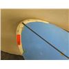 Image 8 : Surftech SoftTops Surfboard