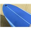 Image 8 : 11' Surftech SoftTops Surfboard
