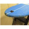 Image 9 : 11' Surftech SoftTops Surfboard
