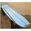 Image 1 : 12' Surftech SoftTops Surfboard