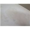 Image 15 : 12' Surftech SoftTops Surfboard