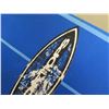 Image 8 : 11'1" Surftech SoftTops Surfboard