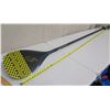 Image 1 : Art in Surf Stand-Up SUP Paddle