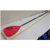 Image 1 : Surftech Stand-Up SUP Paddle