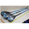 Image 1 : Qty 3 NSP 6' Stand-Up SUP Paddle (handles do not lock)