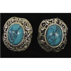 Sterling Stabilized Turquoise Post Earrings