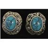 Image 1 : Sterling Stabilized Turquoise Post Earrings