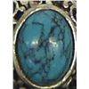 Image 2 : Sterling Stabilized Turquoise Post Earrings