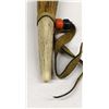 Image 6 : Native American Carved Antler and Wood Pipe