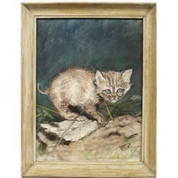 Original Pastel Chalk Bobcat Kitten Picture, Cox