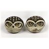 Image 1 : 2 Ceramic Pottery Owls