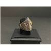 Image 2 : HARLEY DAVIDSON CHAMPIONSHIP REPLICA RING "OWNER