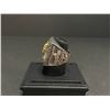 Image 3 : HARLEY DAVIDSON CHAMPIONSHIP REPLICA RING "OWNER