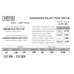 HARMON FLAT TOP H016