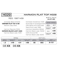 HARMON FLAT TOP H029