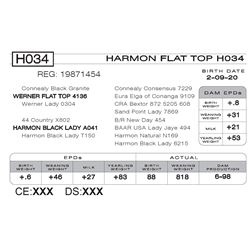 HARMON FLAT TOP H034