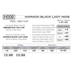 HARMON BLACK LADY H009