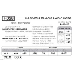 HARMON BLACK LADY H028