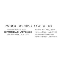 HARMON BLACK LADY B058- H