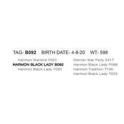 HARMON BLACK LADY B092