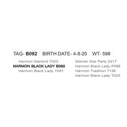 HARMON BLACK LADY B092