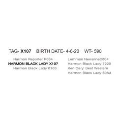 HARMON BLACK LADY X107