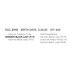 HARMON BLACK LADY Z115