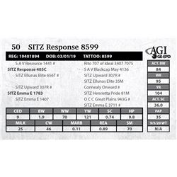 Sitz Response 8599