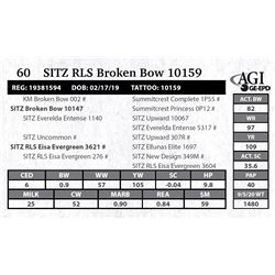 Sitz RLS Broken Bow 10159