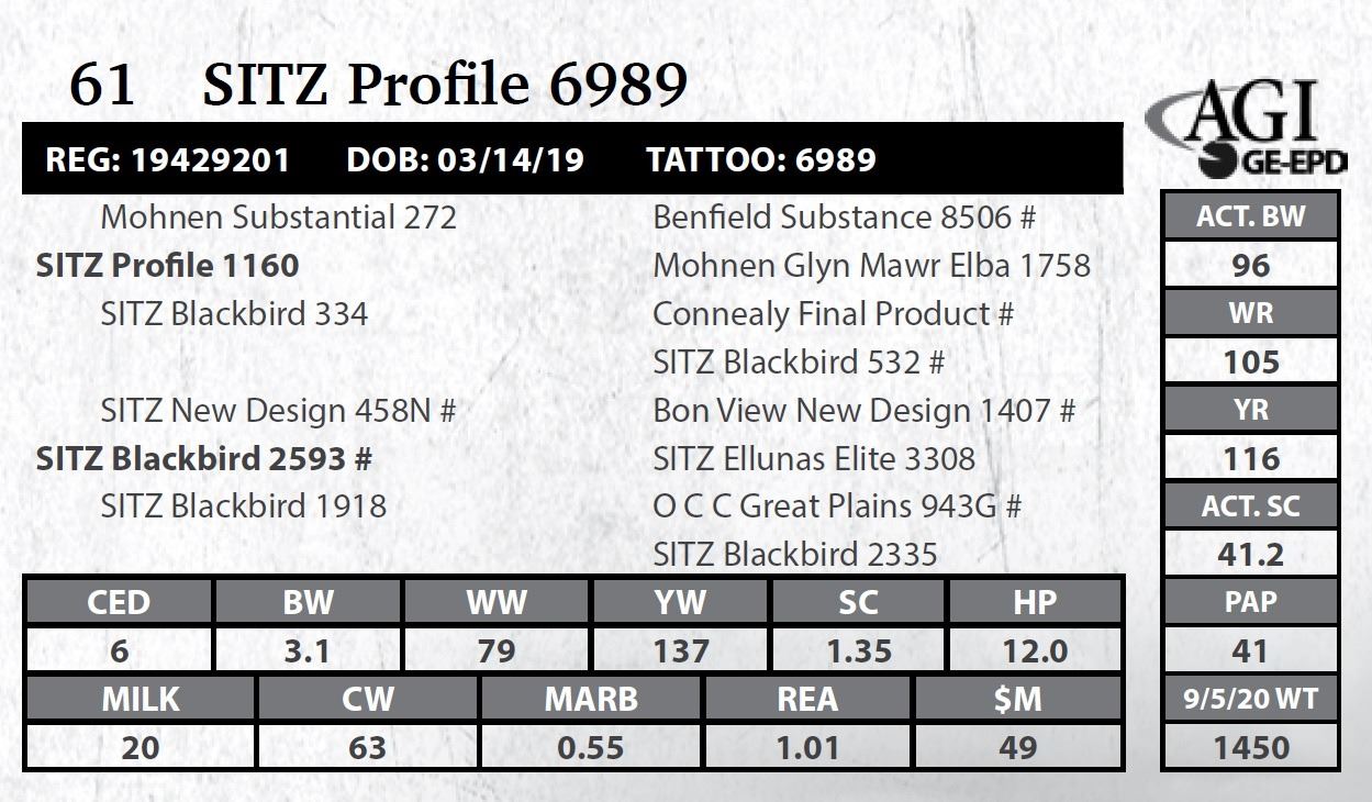 Sitz Profiles Sitz Profile 6989